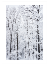 Karli Orman - Art Print
